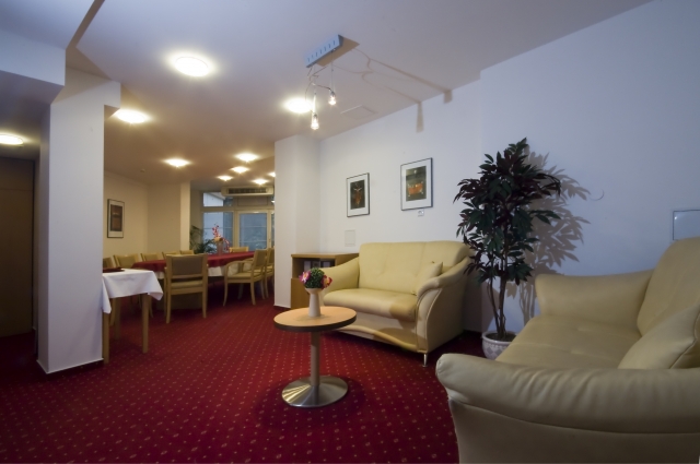 Business hotel Alley